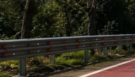 India Paints Road Red and Uses Smart Asphalt to Slow Drivers and Protect Wildlife in Nature Reserve 