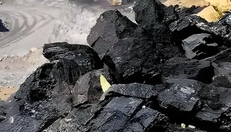 New Delhi Appoints Coal Controller Organisation To Regulate And Register Coal Exchanges