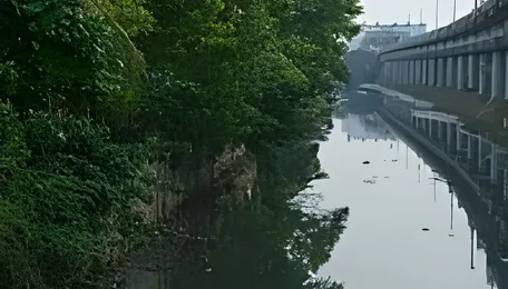 Chennai Buckingham Canal Green Makeover Plans Unveiled
