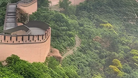 China's PE output expected to hit new high of around 3 mln t in Nov