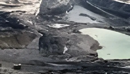 Asian coal prices to stay elevated as Indonesian supply curbs tighten market: Report 