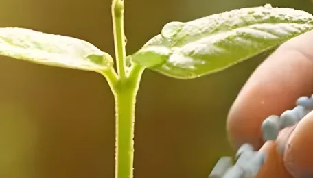 India’s A-1 secures order for automotive-grade industrial urea from Sai Baba Polymer Technologies