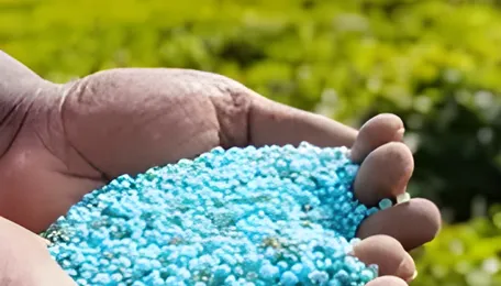 India agrees to supply fertiliser as Nepal faces shortage 