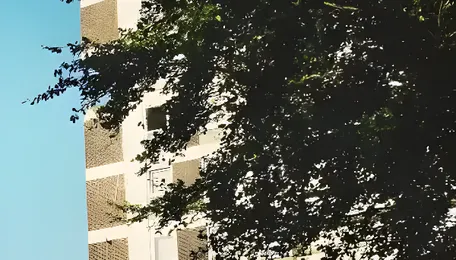 Byculla Drives Demand For Premium Homes In Central Mumbai