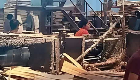 Yamunanagar: Global tensions push plywood rates up by 6% 