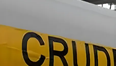 CAG flags underutilisation of India’s strategic oil reserves, import cover falls to 4.5 days