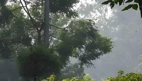 Delhi NCR Dust Control Rules Drive Tech Oversight