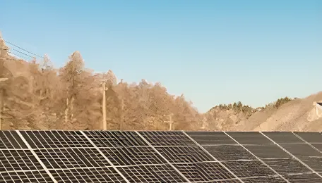 EPI Floats EoI for 250 MW Solar EPC Project Near Bikaner