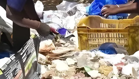Bengaluru Waste Collection Rates Face Price Cap