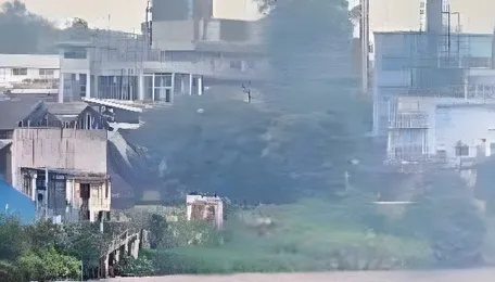 Kochi Voices Alarm Over Worsening Smog