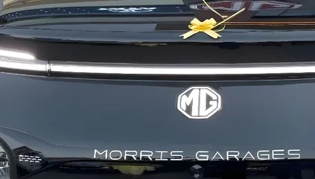 Tata And MG EVs Top Electric Car Sales Chart In FY2025 