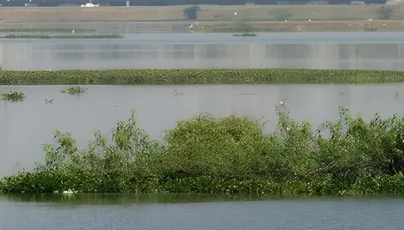 Chennai water diversion project from Ambattur Lake advances