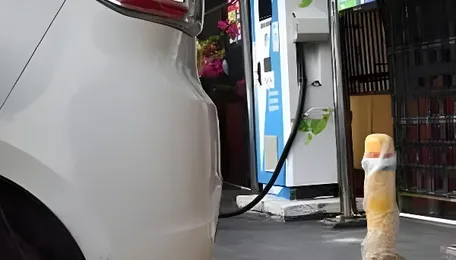 Revamped EV policy hopes to create 20,000 jobs in Delhi with expanded charging network 
