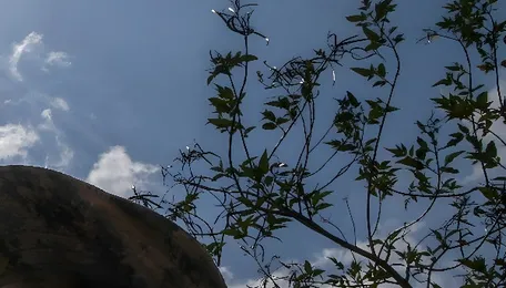 Best of the Week: When the rains don't pour, the light may dim 