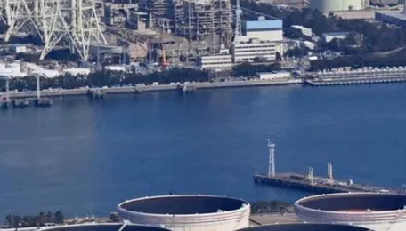 Japan turns to Chinese petrochemicals amid naphtha crunch 