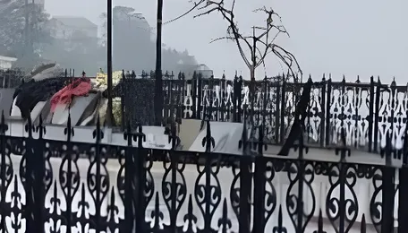 Railway suspends four Kalka-Shimla toy train services till Aug 5 amid landslide risk 