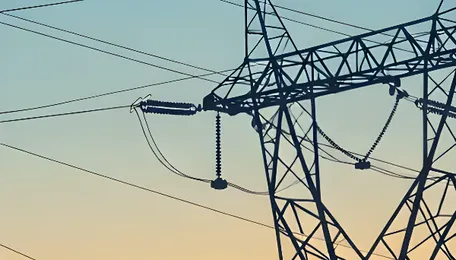 Tamil Nadu Power Consumption Reaches Historic Peak