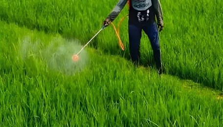 Nissan Chemical leans on India for global push of new rice herbicide 