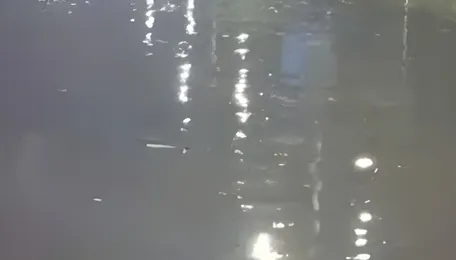 Ahmedabad Rain Brings Relief Heat Persists