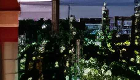 European gas prices drop 15% on Trump’s Iran war remarks