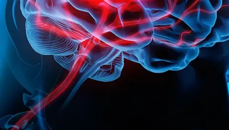 Maharashtra Healthcare Push Targets Rural Stroke Treatment