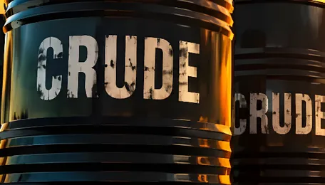 Oil prices: The storm, the signal, and India's strategic response 
