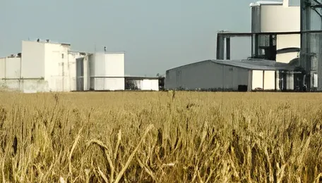 Ethanol supplies top 987 crore litres by September, grain feedstocks lead: AIDA