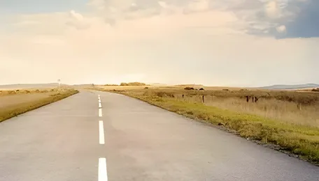 Bengaluru water board deploys robots to inspect sewers, cut road damage and costs