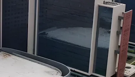 Surat Diamond Industry Showcases Rare Rough Diamond