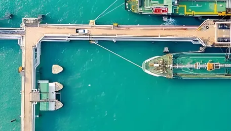 Japan to Unveil New Oil Diversification Strategy