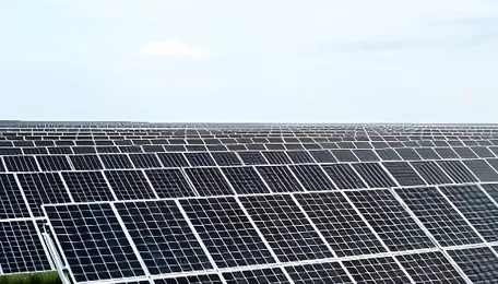 Ahasolar Wins Consultancy Contract for SCCL’s 107 MW Solar Project 