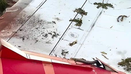 AI171 crash investigators did not give much importance to lone survivor's statement: Pilots body 