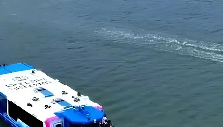 Kochi Water Metro Expands Electric Ferry Services To Islands