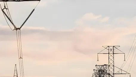 July heat raised Czech electricity prices. Solar hit record output 