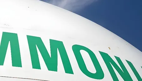 AVTL plans ammonia terminal in India, eyes green hydrogen-based exports 