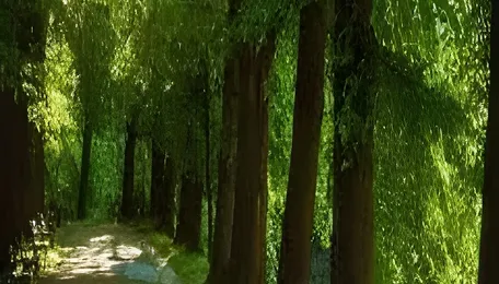 Ahmedabad Oxygen Park Faces Waste Concerns