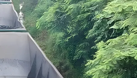 India’s renewable power generation crosses 100 billion units in a quarter for first time as coal stocks fall: CREA 