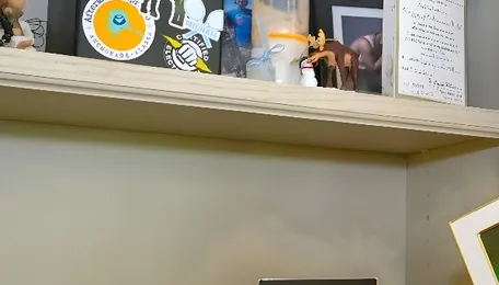 Weapons-grade chemical carfentanil surges as dangerous substitute for fentanyl 