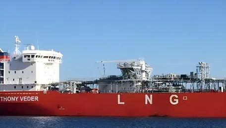 Czechia wants to double gas imports from Algeria, secures pledge from president 