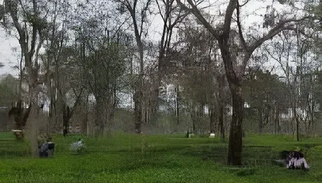 Tea growers seek ban on chemical pesticide in Jalpaiguri 