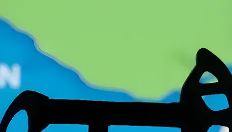 Heightened risk in Strait of Hormuz threatens pet coke supply to India