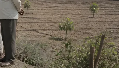 Khadakwasla Summer Rotation Stopped, 2.5 Lakh Hectares Face Water Shortage