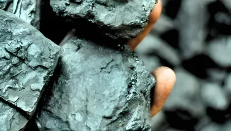 Which Country Has The Largest Coal Reserves In The World? Check India's Rank In The List 