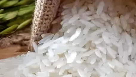 Ethanol rice scam probe widens, notices to 6 mills