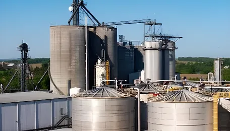 ISMA hails govt ethanol supply policy for 2026-27 to ensure domestic sugar supply 