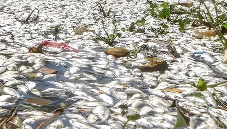 Mumbai Seeks Stronger Coastal Oversight As Pollution Grows