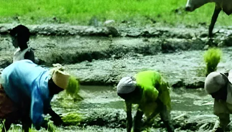 West Bengal Land Reform Signals Urban Growth Shift 