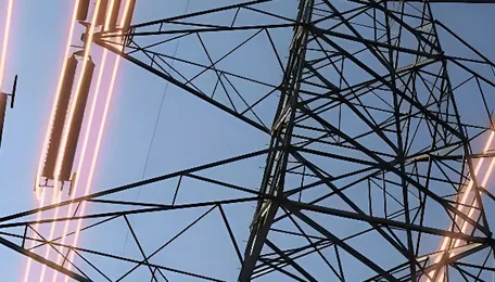 Work begins for electrification of village in Odisha's Ganjam following CM's direction