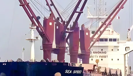 After Shivalik, second Indian LPG tanker Nanda Devi exits Hormuz safely 