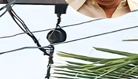 No unannounced load shedding in Kerala, outages due to overload, says Minister 